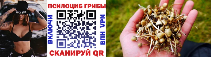 Галлюциногенные грибы Cubensis  Заозёрный 