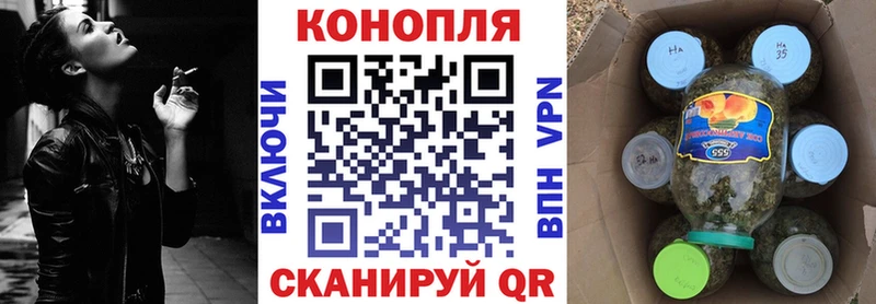 Конопля OG Kush  Заозёрный 
